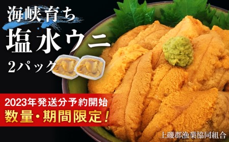 2024年6月発送予約 キタムラサキウニ 100g×2パック 上磯郡漁業協同組合