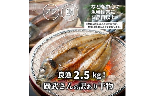 良漁2.3kg!磯武さんの訳あり干物_1020R