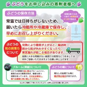 ふるさと納税 山形のぶどうセット 秀品 約2kg(ピオーネ1kg2房前後・巨峰1kg2房前後)[8月中旬〜9月中旬お届け] FU20-573 山形県山形市