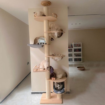免運 貓架 寵物用品 貓爬架 貓抓柱 貓跳台 實木貓爬架通天柱貓咪貓窩貓樹一體大型不占地貓屋貓小戶型別墅工廠直銷 特惠/新品推薦 全館折扣 可開立發票 5m710