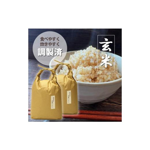 ふるさと納税 福岡県 大川市 福岡県産評価のお米「元気つくし」5kg×2袋 10kg [玄米]