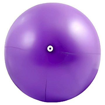 MICHAEL FITNESS 麥克健身 瑜珈球 附針管吹嘴3個  25cm  紫色
