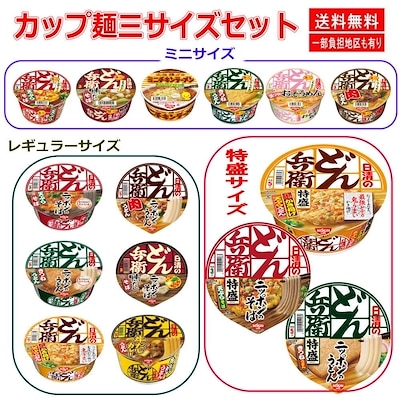 日清食品 日清どん兵衛 ファミリーセット 天ぷらそば(西) きつね(西) カレー(西) かき揚げ 鴨だし 肉うどん そうめん ミニレギュラー特盛サイズ 関東圏送料無料