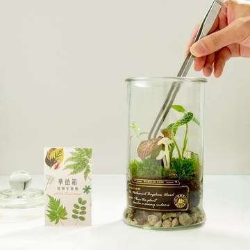 【賽先生科學工廠】螢光蕈植物生態瓶手作課材料包｜打造自己的華德箱(附影片教學) (無外島配送)