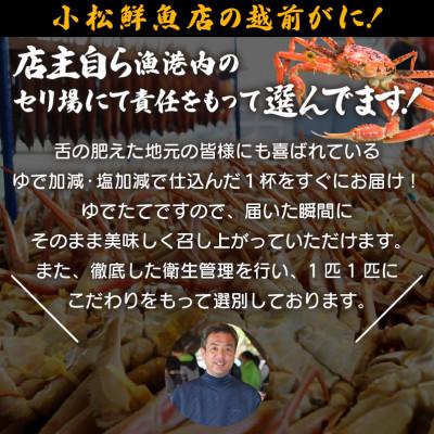 ふるさと納税 越前町 地元鮮魚店厳選  ≪浜茹で≫ 足折れ 越前がに 大サイズ 1杯