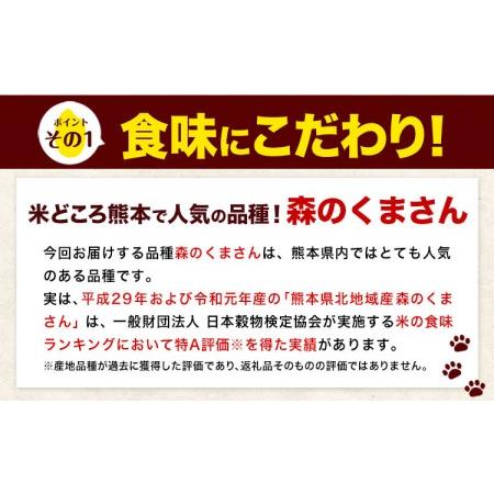 ふるさと納税 新米 令和5年産 森のくまさん  白米 《お申込み月の翌月から出荷開始》 10kg (5kg×2袋) 計3回お届け 熊本県産.. 熊本県御船町