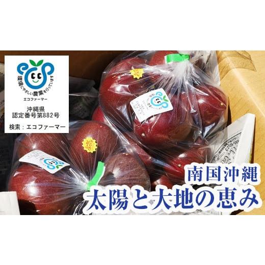 ふるさと納税 沖縄県 南風原町 パッションフルーツ2kg　家庭用