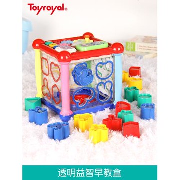 Toyroyal皇室禮物六面盒因果關系玩具多功能寶寶玩具形狀配對認知