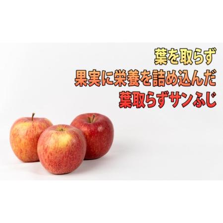 ふるさと納税 1月発送 訳あり EM葉取らずサンふじ約10kg 糖度13度以上　 青森県弘前市