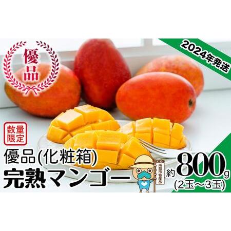 ふるさと納税 ＜優品＞完熟アップルマンゴー約800g（化粧箱）2玉〜3玉 沖縄県南城市