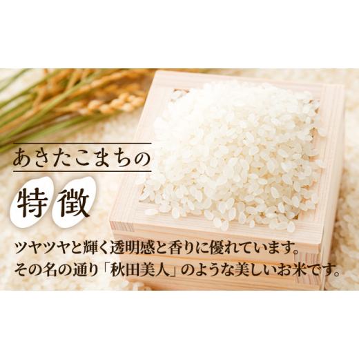 ふるさと納税 秋田県 男鹿市 定期便 無洗米 令和5年産 あきたこまち 20kg 5kg×4袋 2ヶ月連続発送（合計 40kg） 秋田食糧卸販売