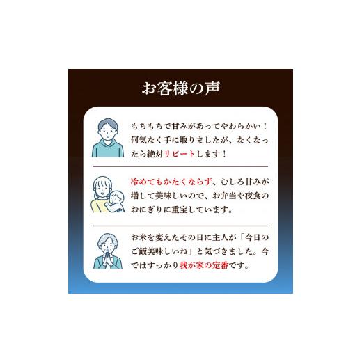 ふるさと納税 山口県 下関市 新米 令和5年産 きぬむすめ 20kg 玄米 やまだ農園 豊田 下関