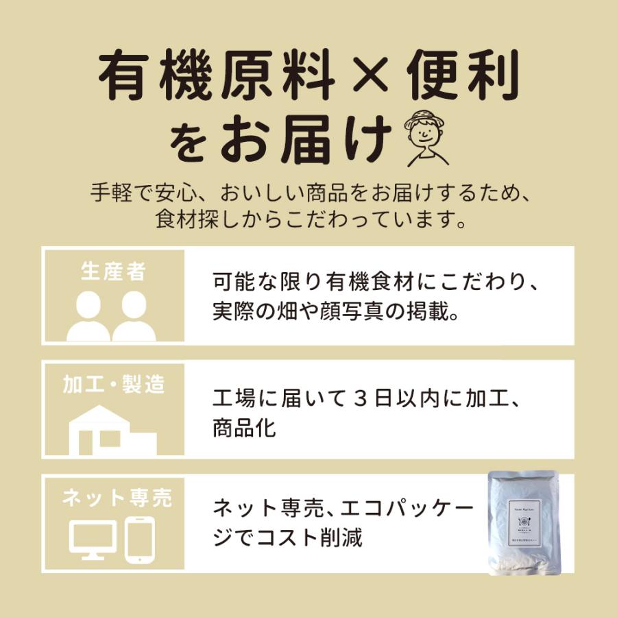 有機 カレー 甘口 レトルト (160g×5食セット)  国産 甘口カレー レトルトカレー 鶏ひき肉 鶏肉 野菜 野菜カレー ガラムマサラ スパイス だし 出汁