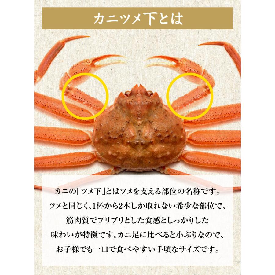 グルメ ギフト カニ かに 蟹 グルメ ズワイガニ 爪下 (冷凍) 約1kg (正味700g)×1袋