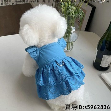 【熱賣免運】寵物衣服 春夏新款韓系飛袖蕾絲裙子泰迪比熊狗狗貓咪薄款牽引衣服 寵物衣服 貓咪衣服 小型犬狗衣服 寵物用品