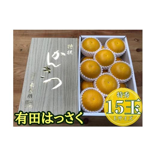 ふるさと納税 和歌山県 有田川町 化粧箱 手詰め 有田 はっさく 特秀 L サイズ × 15玉入 2段詰 南泰園