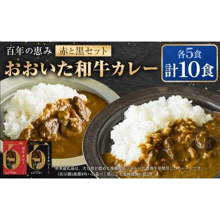 ふるさと納税 百年の恵み おおいた和牛カレー 赤と黒セット 各5個 計10個 大分県竹田市