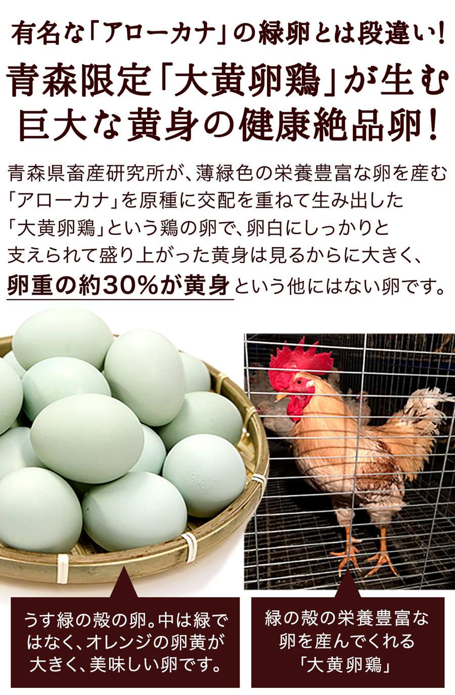 卵 新鮮たまご2種選べるお試しセット〔生卵合計30個入(生卵25個 破損保証5個)〕 玉子 高級 卵かけご飯