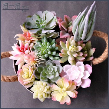 永生花🌸 仿真多肉僊人掌盆栽 綠植造景拍照道具 墻麵假花裝飾 ins風擺件