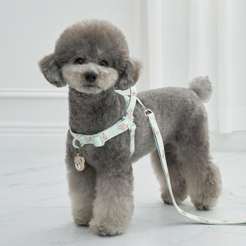 韓國品牌【梨花娘總代理】🐾BAILEY 🐶秋冬新品 馬卡龍柔軟色系小熊圖案寵物項圈(3色)