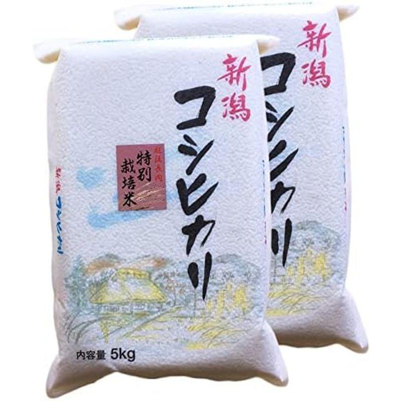 精米新潟県長岡地区限定［特別栽培米］コシヒカリ 白米 10kg（5kg×2袋）令和3年産 新潟辰巳屋（産地直送米）… (10kg)