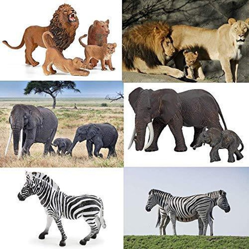 動物 昆虫 フィギュア |Safari Zoo Animals Figures Toys, 14 Piece