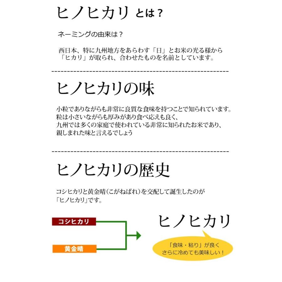 ひのひかり 米 送料無料 10kg 令和5年産 新米 熊本県産 お米 白米 玄米 コシヒカリ 森のくまさん