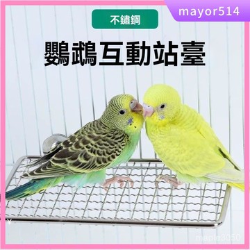 🔥台灣現貨🔥鸚鵡站架 鳥站架 鸚鵡窩 鸚鵡鳥籠 鳥站臺 鸚鵡不銹鋼站臺 鸚鵡休息臺 小鳥站架籠子 虎皮玄風不銹鋼網格