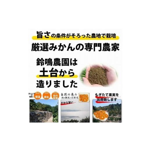 ふるさと納税 和歌山県 有田川町 ＜12／26までの注文は年内発送＞ みかん ご家庭用　和歌山県有田川町産　有田みかん3kg