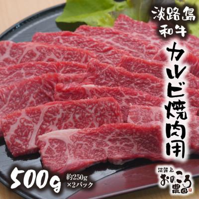 ふるさと納税 淡路市 淡路島和牛 カルビ焼肉用 500g 約250g×2パック