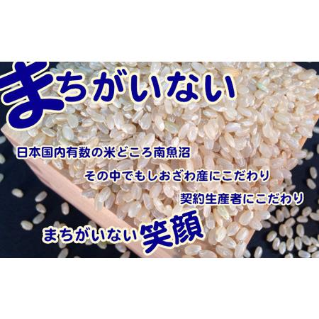 ふるさと納税 玄米 生産者限定 南魚沼しおざわ産コシヒカリ2Kg×3ヶ月 新潟県南魚沼市