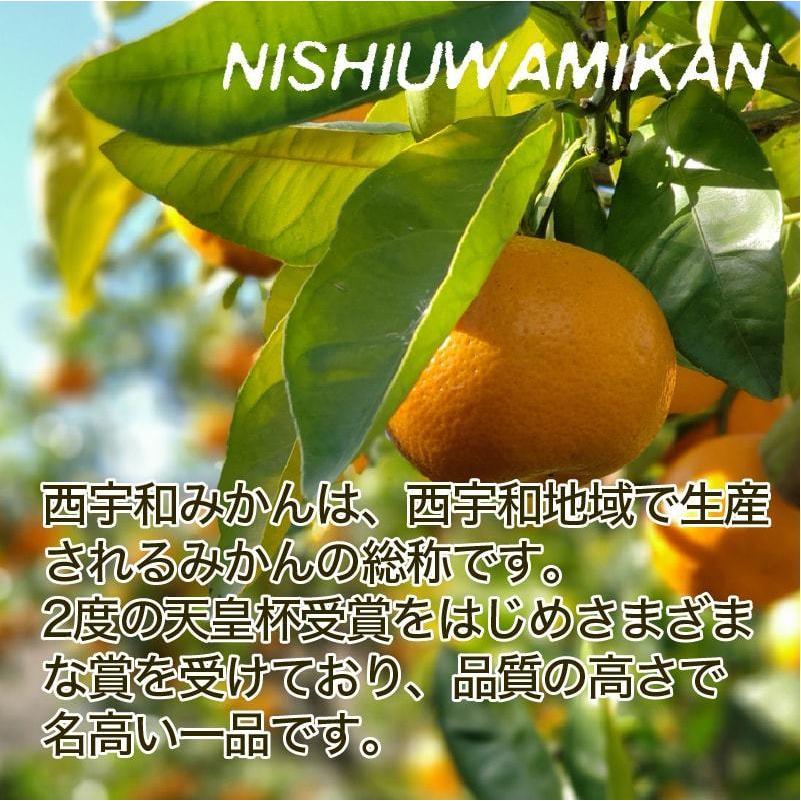 みかん 西宇和 温州みかん 愛媛みかん 5kg S~Lサイズ 送料別途 愛媛県産 産地直送 お歳暮 2023 歳暮2023 ギフト グルメ