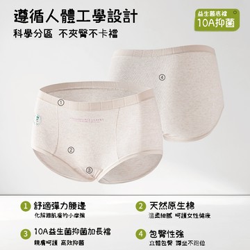 🌸嬰兒肌觸感天然棉内褲🌸高腰微收腹純棉内褲 加長益生菌棉襠内褲 高腰内褲 棉内褲 全棉内褲 無痕内褲 少女内褲 内褲女生