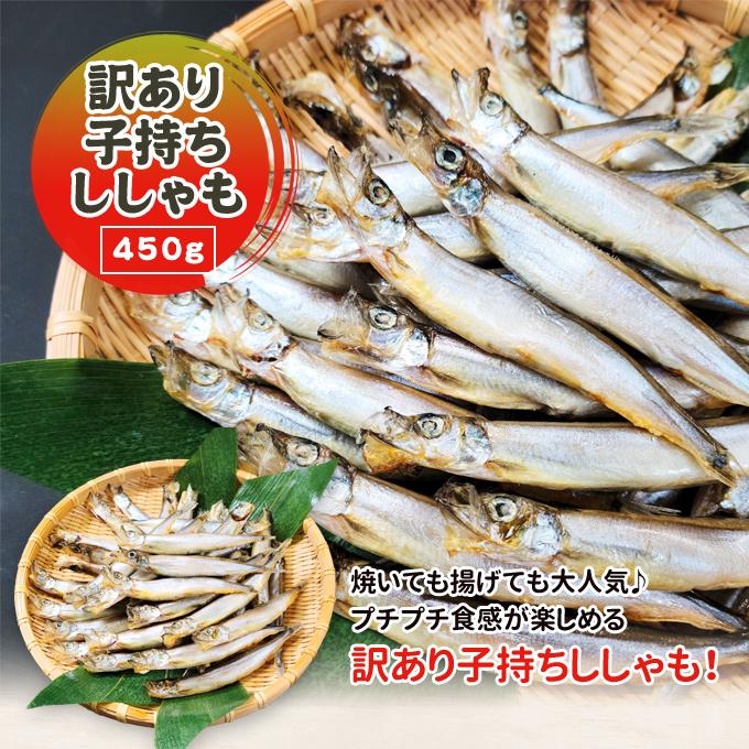 訳あり子持ちししゃも 450g 送料無料