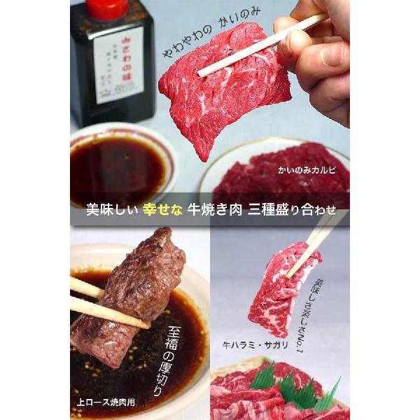 焼き肉セット カルビ・ハラミ・上ロース 牛肉 600g(200g×3) 自家製タレ付属 （BBQ バーべキュー）焼肉