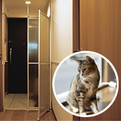 猫 脱走防止パーティション キャキャ Catcatch ネコ ねこ 猫 脱走 防止 脱走防止 扉 フェンス 猫 ドア 突っ張り 柵 通販 Lineポイント最大8 0 Get Lineショッピング