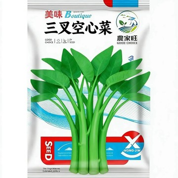 【爆款台灣菜】原裝三叉空心菜種子｜夜市熱炒必備 爽脆快收｜耐熱抗病 陽台可種｜新手免煩惱 附懶人種植教程