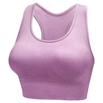 Homegym 歐美高強度挖背運動內衣 馬卡龍紫  M(65C~70C)
