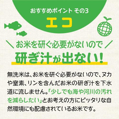 新米 令和5年 無洗米 10Kg 5Kg×2 送料無料 コシヒカリ 新潟 あすつく 米 新潟県産 こしひかり 美味しい お米 白米 おいしいお米 美味しい米