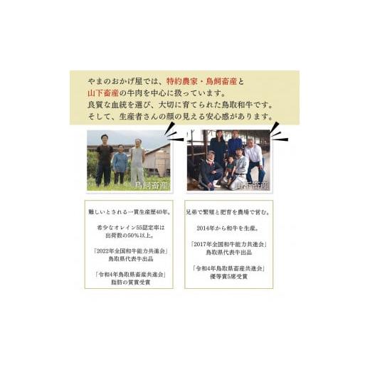 ふるさと納税 鳥取県 倉吉市 鳥取和牛サーロインと希少部位のステーキセット 国産 牛肉 ステーキ 希少 和牛 サーロイン 詰め合わせ