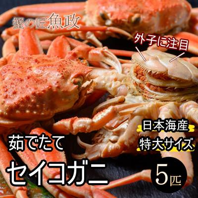 ふるさと納税 京丹後市 蟹の匠　魚政の内子外子が美味!　茹でたて　セイコガニ特大サイズ　5匹