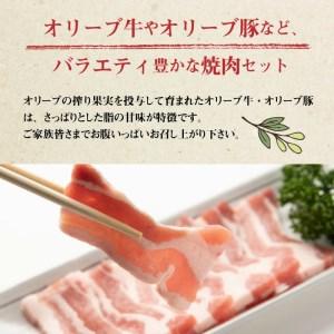 ふるさと納税 焼肉セット5品_M04-0112 香川県三豊市