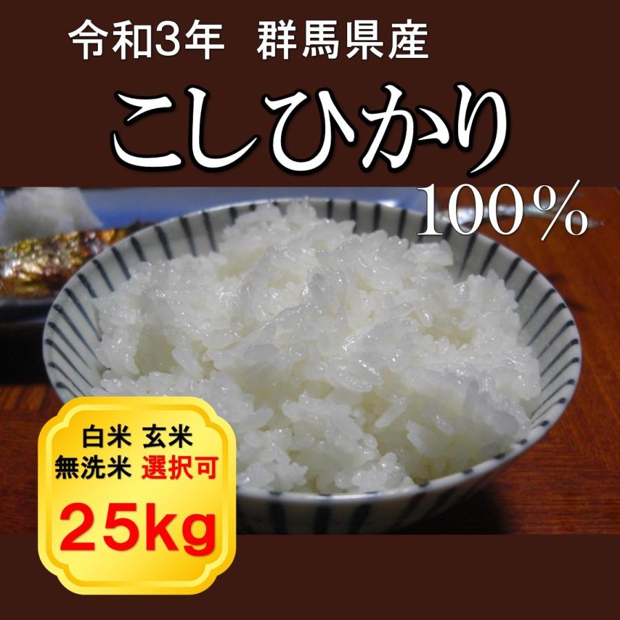 お米 コメ 25kg 令和3年産(2021年産)コシヒカリ100% 群馬県産 安い 農家直送 玄米白米無洗米