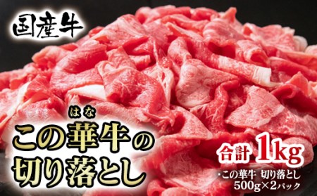 国産牛切り落とし800g（400g×2パック）＜1-253＞