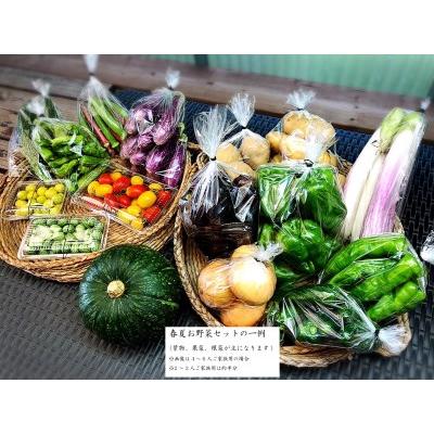 ふるさと納税 西洋野菜と季節の鹿児島野菜セット（4〜6人ご家族用） 鹿児島県大崎町