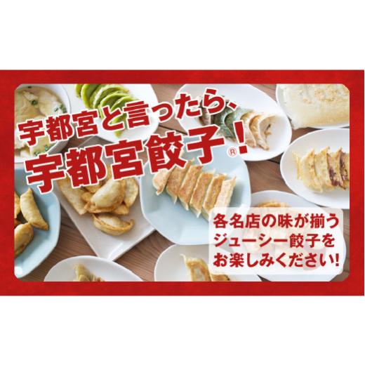 ふるさと納税 栃木県 宇都宮市 ＜konomi＞　餃子24個入り