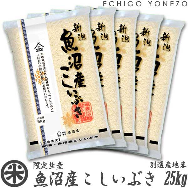 [新潟米 令和4年産] 魚沼産こしいぶき 25kg (5kg×5袋) 別選産地米 新潟米 魚沼米 お米 白米 こしひかり 送料無料 ギフト対応