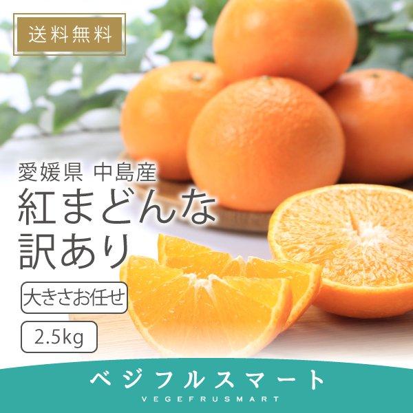 紅まどんな ご家庭用 ちょっと訳あり 愛媛県産 みかん お歳暮 大きさお任せ 2.5kg 送料無料