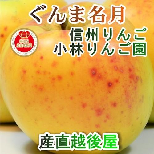 フルーツ りんご 信州りんご 長野県佐久市 小林りんご園 樹上完熟信州りんご ぐんま名月 3kg（7玉〜12玉） エコファーマー農園 送料無料