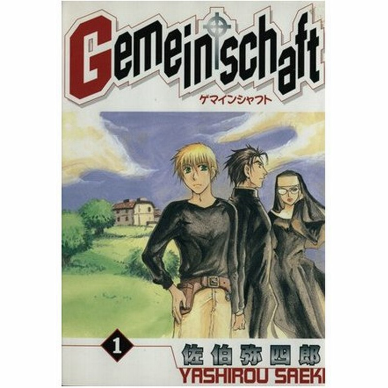 ｇｅｍｅｉｎｓｃｈａｆｔ １ ゼロサムｃ 佐伯弥四郎 著者 通販 Lineポイント最大0 5 Get Lineショッピング